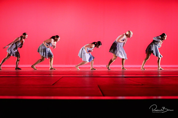 2020 WV Orchesis Showcase-528