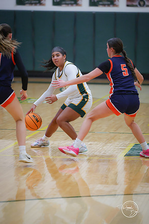 20250206 Naperville North-10