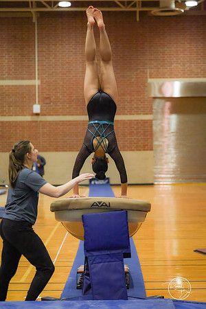 20250123 Valley Co-Op Gymnastics-5