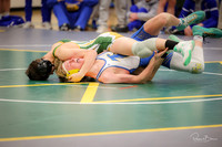 Wheaton North   11/27/2024
