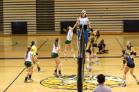 2015 WVHS JV Girls Volleyball vs Neuqua Valley-16