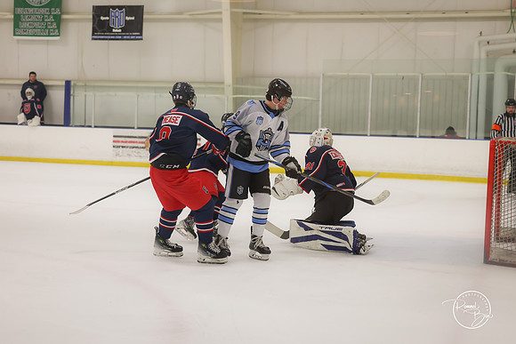 20250202 Naperville-38