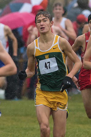WVHS Boys Cross Country - Sectionals-11