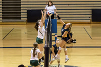 2015 WVHS JV Girls Volleyball vs Neuqua Valley-15
