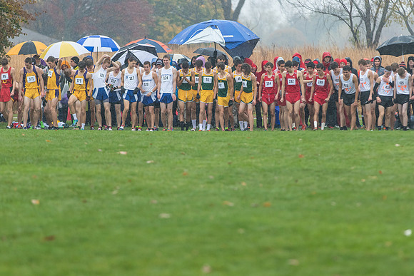 WVHS Boys Cross Country - Sectionals-3