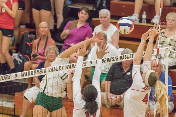 2015 Girls Volleyball vs Hinsdale Central-30