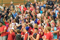 WVHS Varsity Girls Volleyball - Regionals vs Metea Valley-4