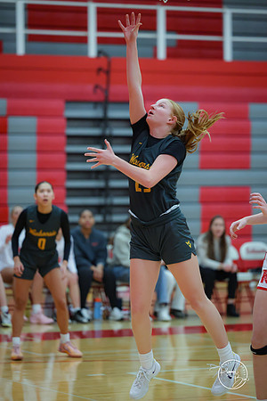 20250116 Naperville Central-5