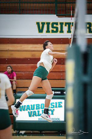 2018 WV Senior Women's Volleyball-49