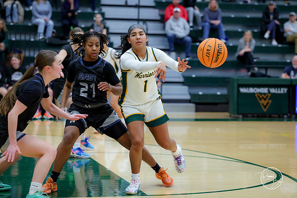 20250201 Oswego East-31