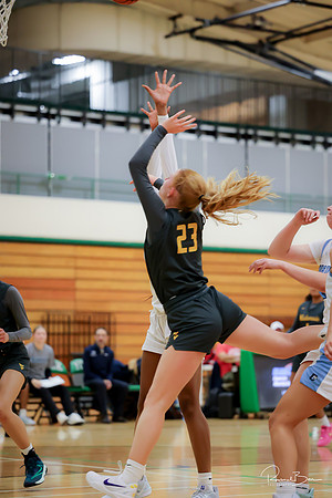 20241121 Downers Grove South-43