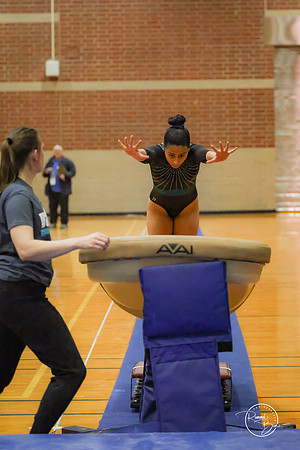 20250123 Valley Co-Op Gymnastics-3
