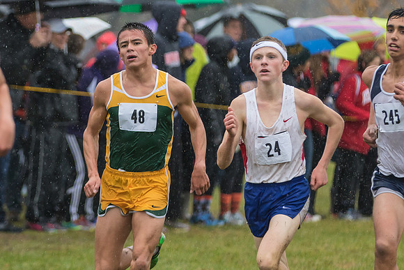 WVHS Boys Cross Country - Sectionals-14