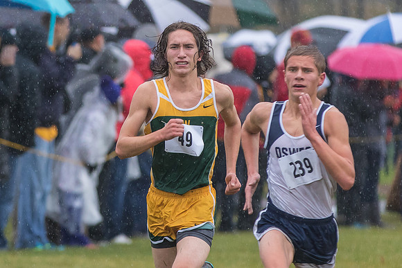 WVHS Boys Cross Country - Sectionals-29
