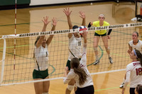 2015 Girls Volleyball vs Hinsdale Central-10