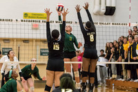 WVHS Varsity Girls Volleyball - Regionals vs Metea Valley-14