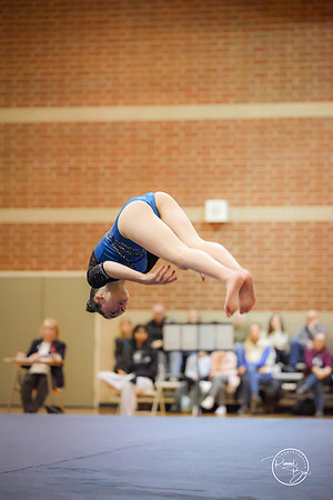 20250123 Valley Co-Op Gymnastics-261