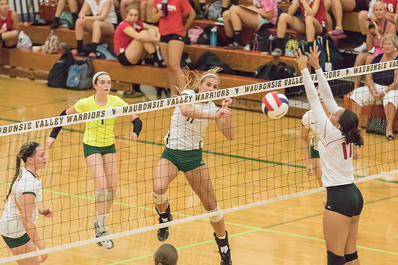 2015 Girls Volleyball vs Hinsdale Central-23