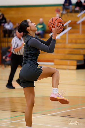 20241121 Downers Grove South-13