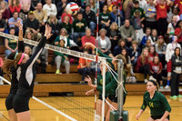 WVHS Varsity Girls Volleyball - Regionals vs Metea Valley-12