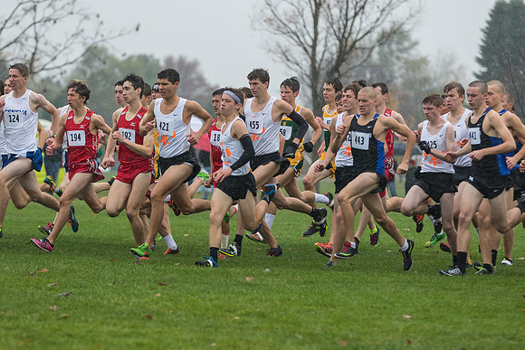 WVHS Boys Cross Country - Sectionals-8