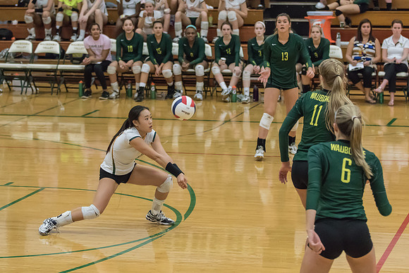 2015 WVHS Girls Volleyball - Glenbard North Match -13