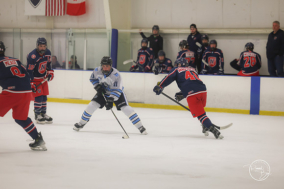 20250202 Naperville-25