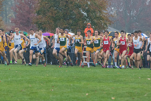 WVHS Boys Cross Country - Sectionals-6