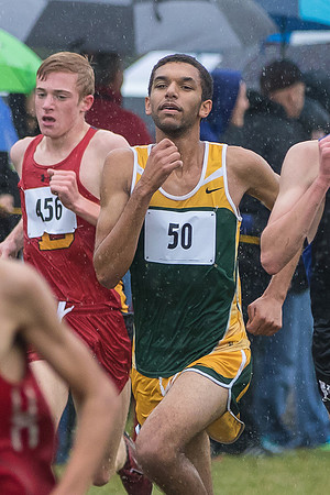 WVHS Boys Cross Country - Sectionals-12
