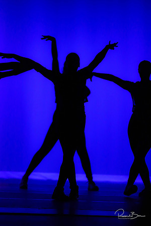 2020 WV Orchesis Showcase-392