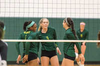WVHS Varsity Girls Volleyball - Regionals vs Metea Valley-19