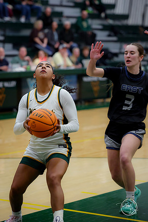 20250201 Oswego East-6