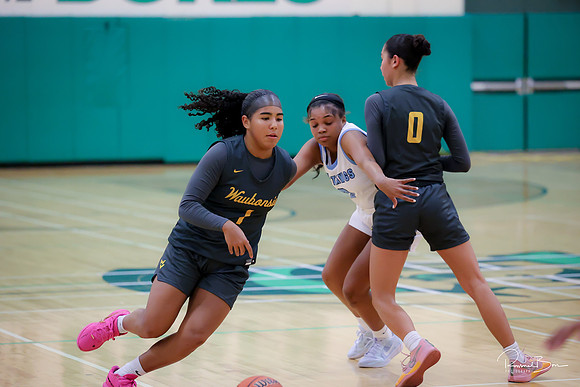 20241121 Downers Grove South-32