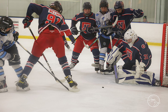20250202 Naperville-11