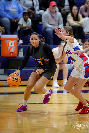 20241228 Glenbard South-13