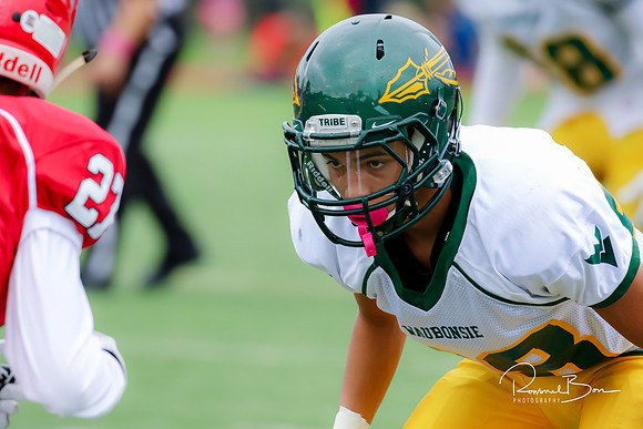 20161029 WV Football vs Hinsdale Central_056
