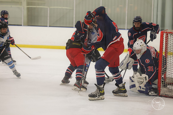 20250202 Naperville-9