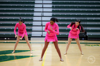 Metea Valley Junior Varsity