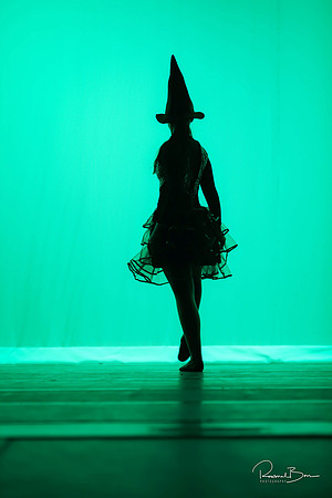 2020 WV Orchesis Showcase-494