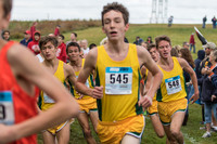 WVHS Boys CC Regionals-12