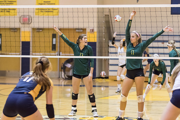2015 WVHS Varsity Girls Volleyball vs Neuqua Valley-12