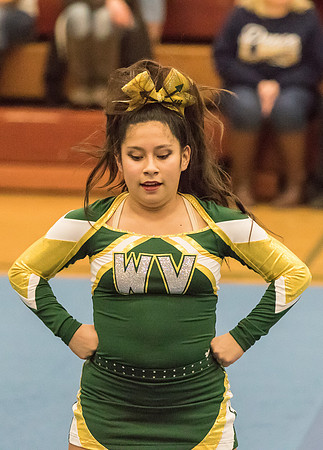 WV Invite-31