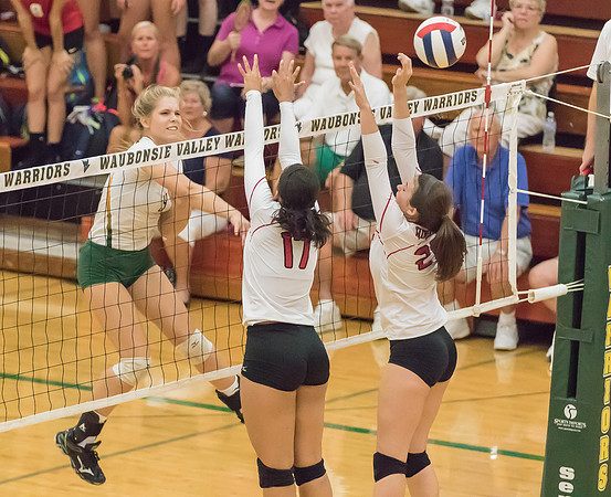 2015 Girls Volleyball vs Hinsdale Central-34