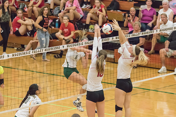 2015 Girls Volleyball vs Hinsdale Central-17