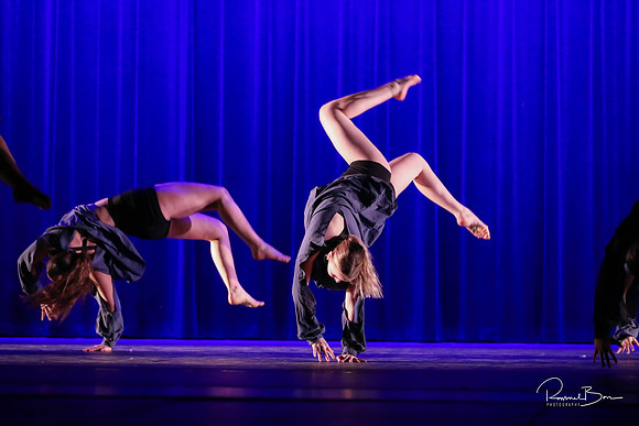 2020 WV Orchesis Showcase-347