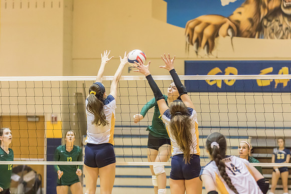 2015 WVHS Varsity Girls Volleyball vs Neuqua Valley-16
