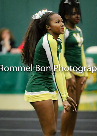 20180116 WV JV Dance Conference-52