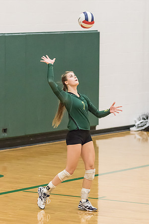 2015 WVHS Girls Volleyball - Glenbard North Match -9