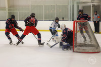 Naperville   02/02/2025