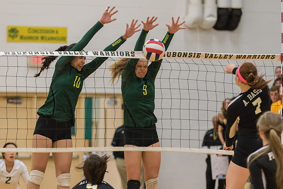 WVHS Varsity Girls Volleyball - Regionals vs Metea Valley-30